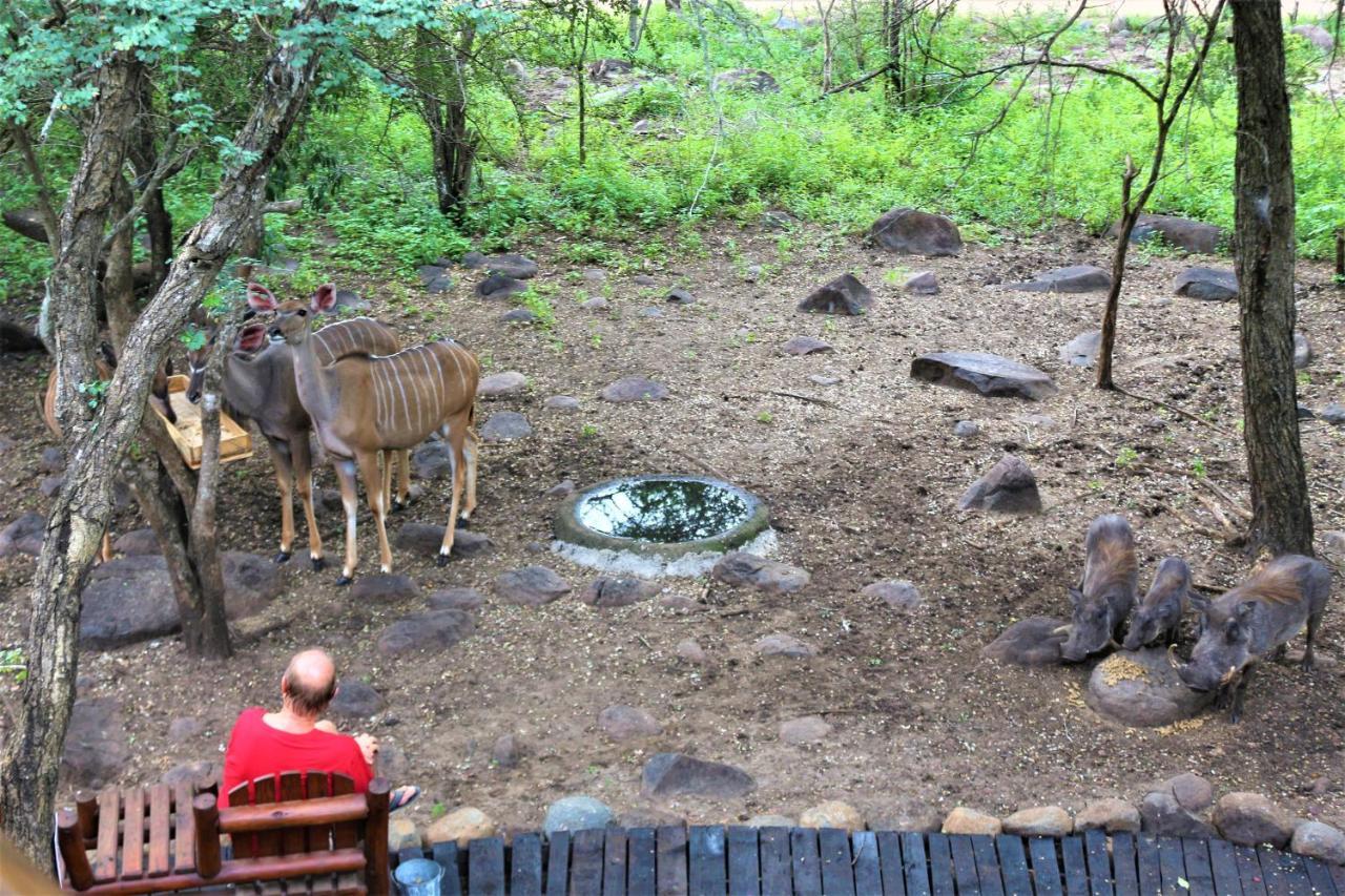 Lahlekile Nathi Daire Marloth Park Dış mekan fotoğraf
