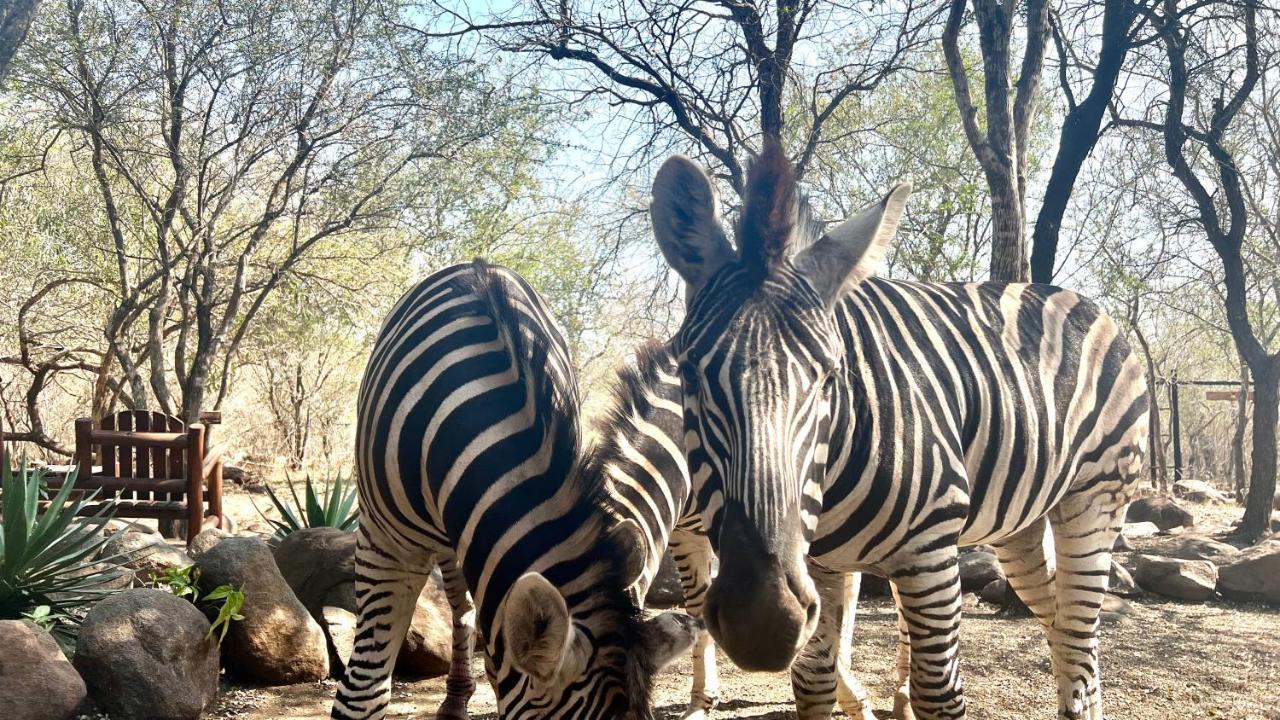 Lahlekile Nathi Daire Marloth Park Dış mekan fotoğraf