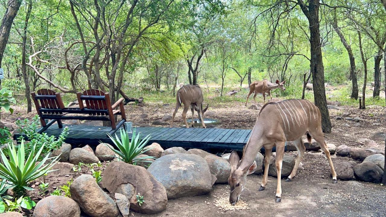 Lahlekile Nathi Daire Marloth Park Dış mekan fotoğraf