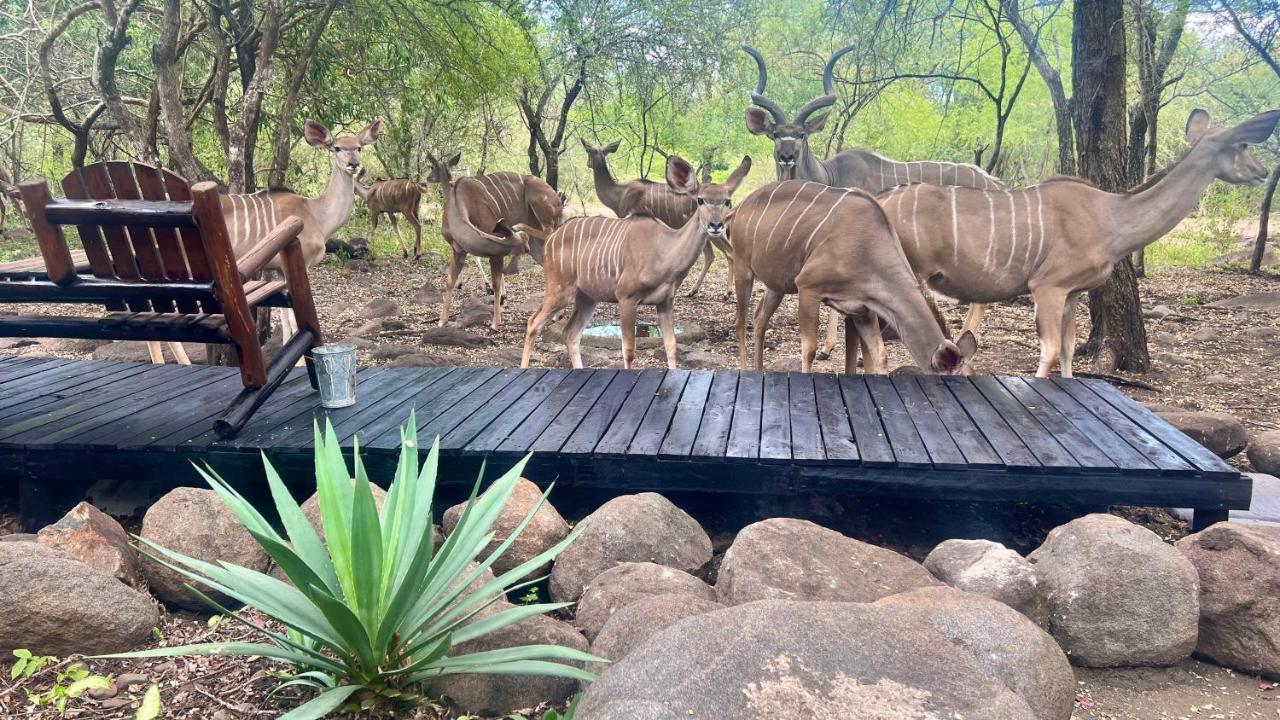 Lahlekile Nathi Daire Marloth Park Dış mekan fotoğraf