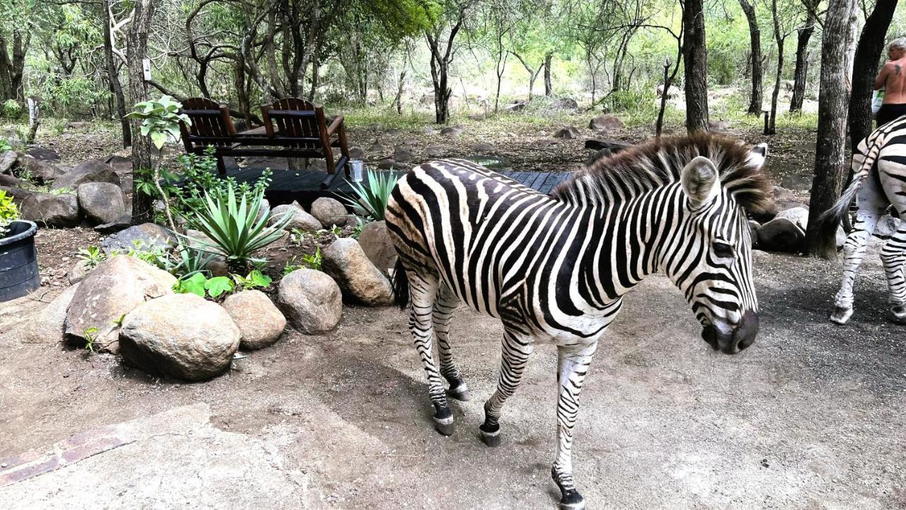 Lahlekile Nathi Daire Marloth Park Dış mekan fotoğraf
